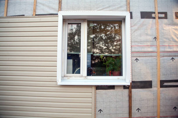 Best Aluminum Siding Installation  in Palmyra, NJ