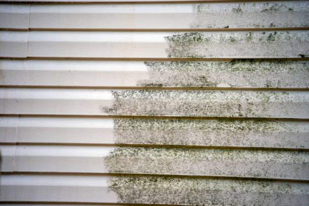 Best Storm Damage Siding Repair  in Palmyra, NJ