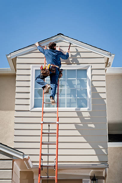 Best Steel Siding Installation  in Palmyra, NJ